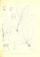  no thumbnail available