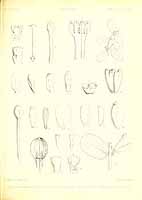  no thumbnail available