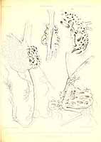  no thumbnail available