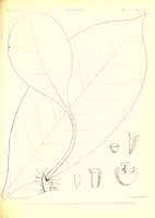  no thumbnail available