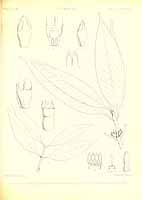  no thumbnail available