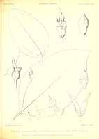  no thumbnail available