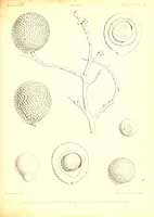  no thumbnail available