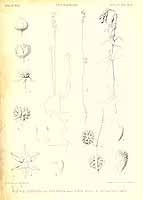  no thumbnail available