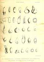  no thumbnail available