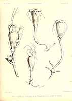  no thumbnail available