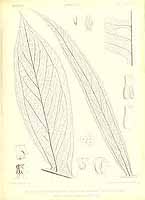  no thumbnail available