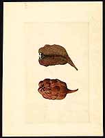  no thumbnail available