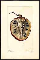  no thumbnail available