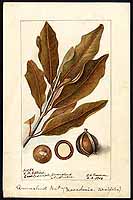  no thumbnail available