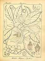  no thumbnail available