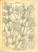  no thumbnail available