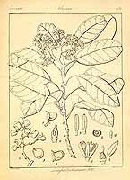  no thumbnail available