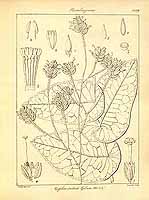  no thumbnail available