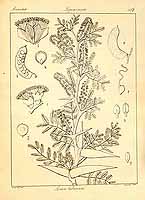  no thumbnail available