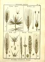  no thumbnail available