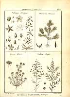  no thumbnail available