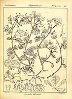  no thumbnail available