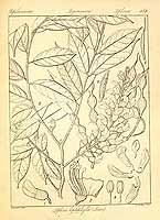  no thumbnail available