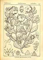  no thumbnail available