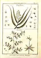  no thumbnail available