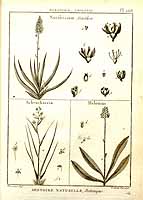  no thumbnail available