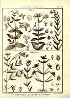  no thumbnail available