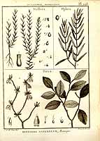  no thumbnail available