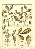  no thumbnail available