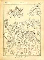  no thumbnail available