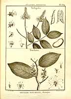  no thumbnail available