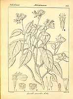  no thumbnail available