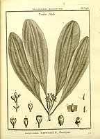  no thumbnail available