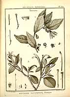  no thumbnail available