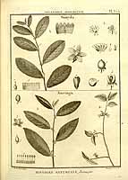  no thumbnail available