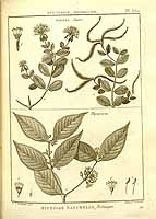  no thumbnail available