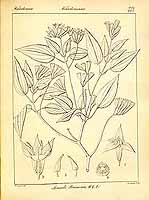  no thumbnail available