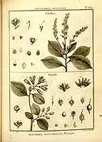  no thumbnail available