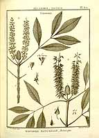  no thumbnail available