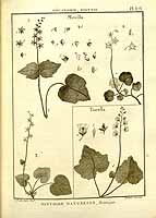  no thumbnail available