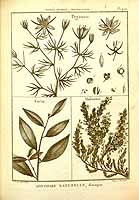  no thumbnail available