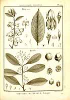  no thumbnail available