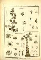  no thumbnail available