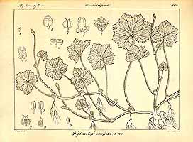  no thumbnail available