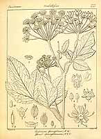  no thumbnail available