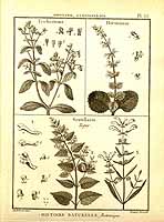  no thumbnail available