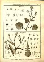  no thumbnail available