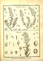  no thumbnail available