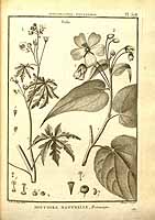  no thumbnail available