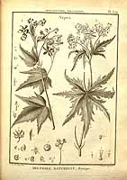  no thumbnail available